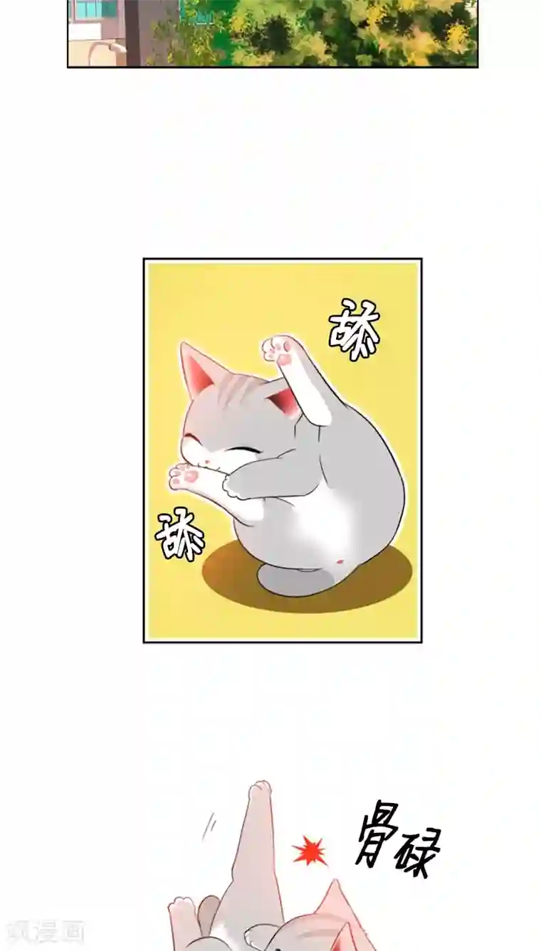 ICE-Cold要员的捡猫事件第73话