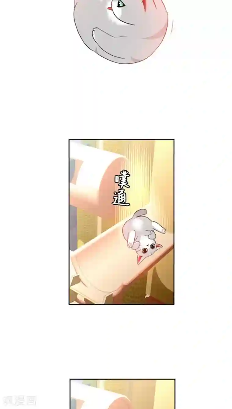 ICE-Cold要员的捡猫事件第73话