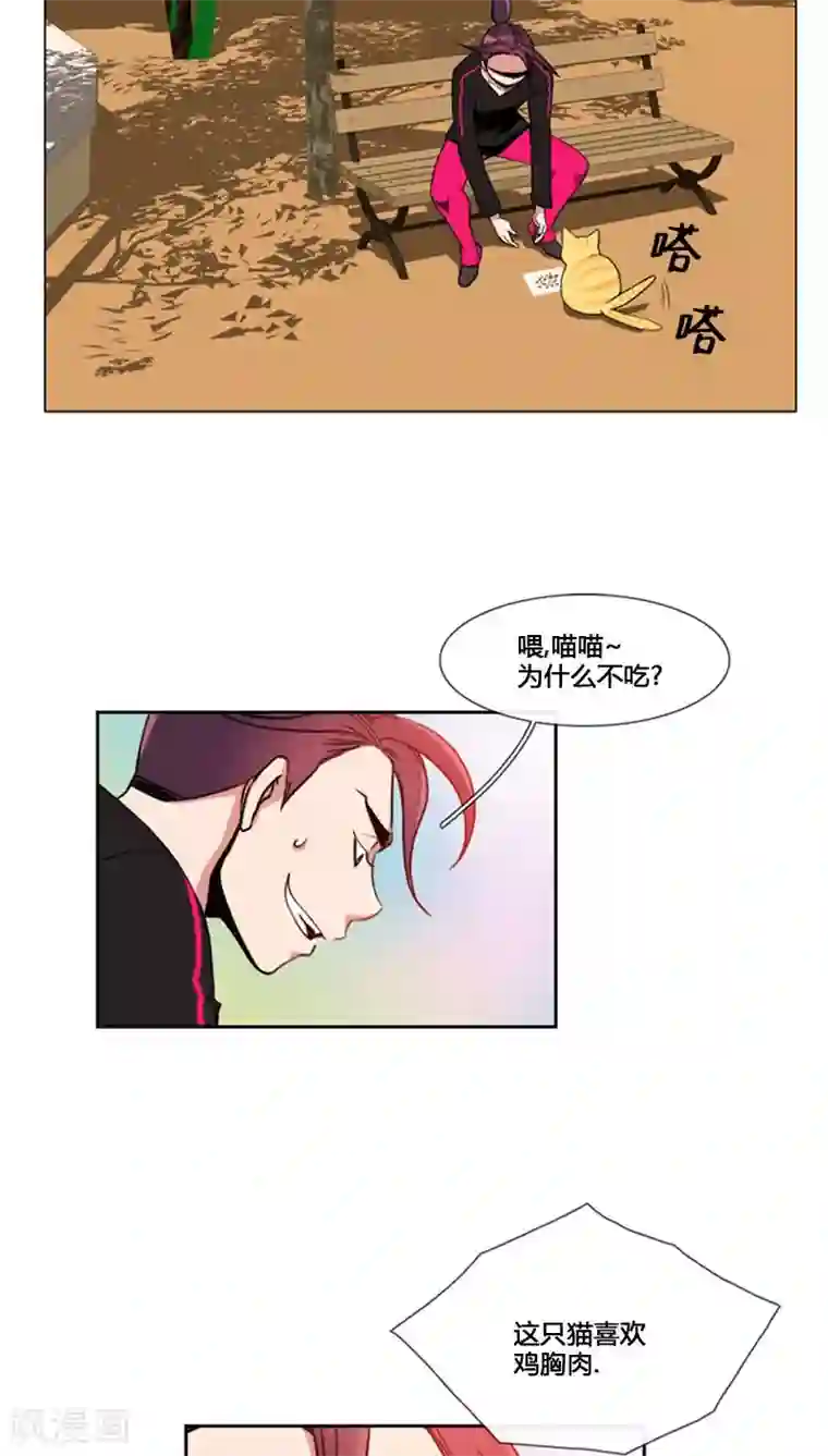 ICE-Cold要员的捡猫事件第73话