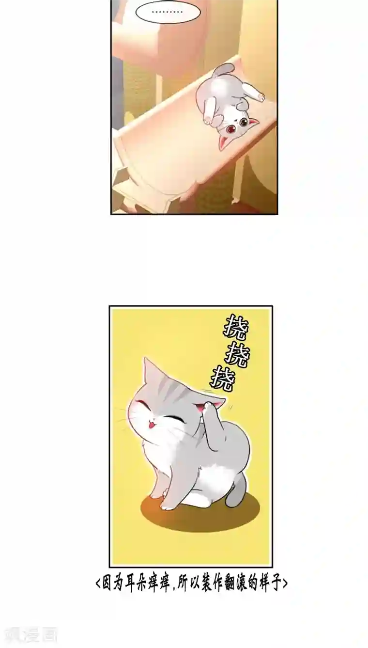 ICE-Cold要员的捡猫事件第73话