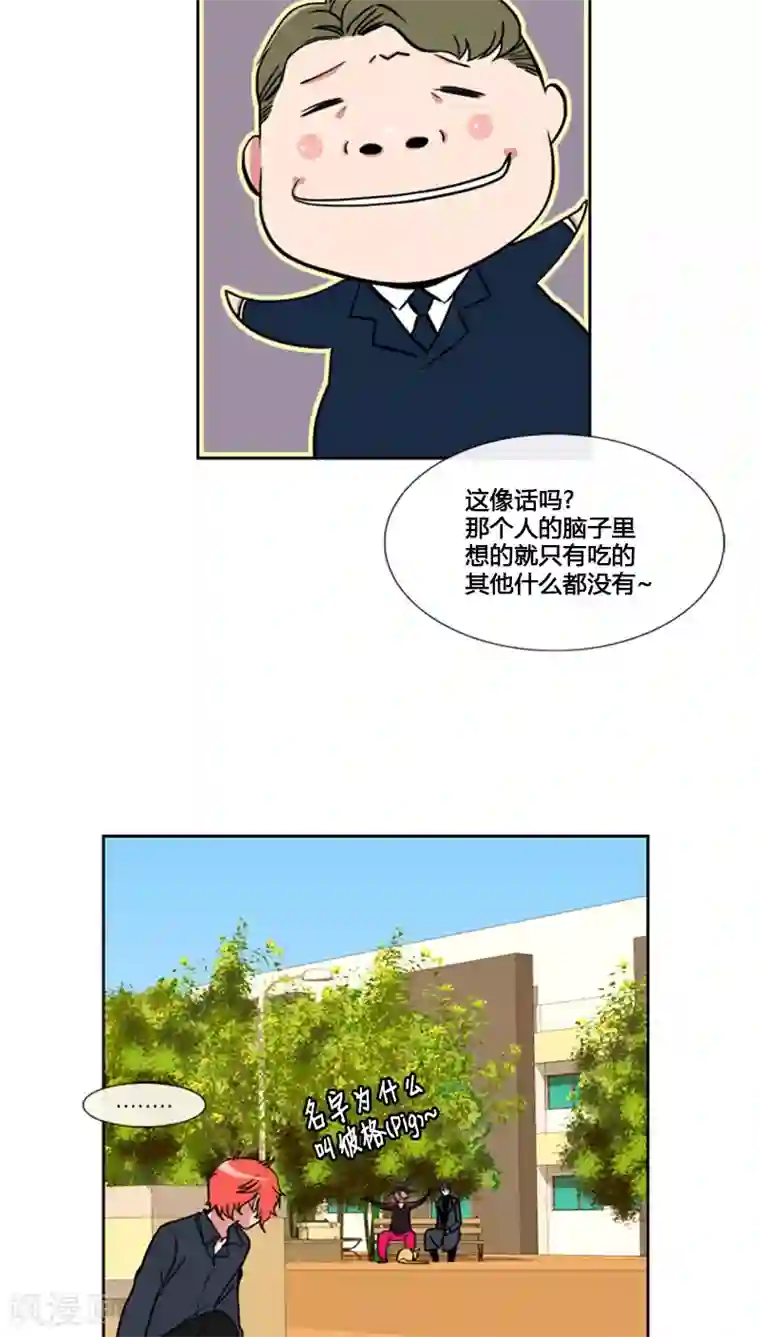 ICE-Cold要员的捡猫事件第73话