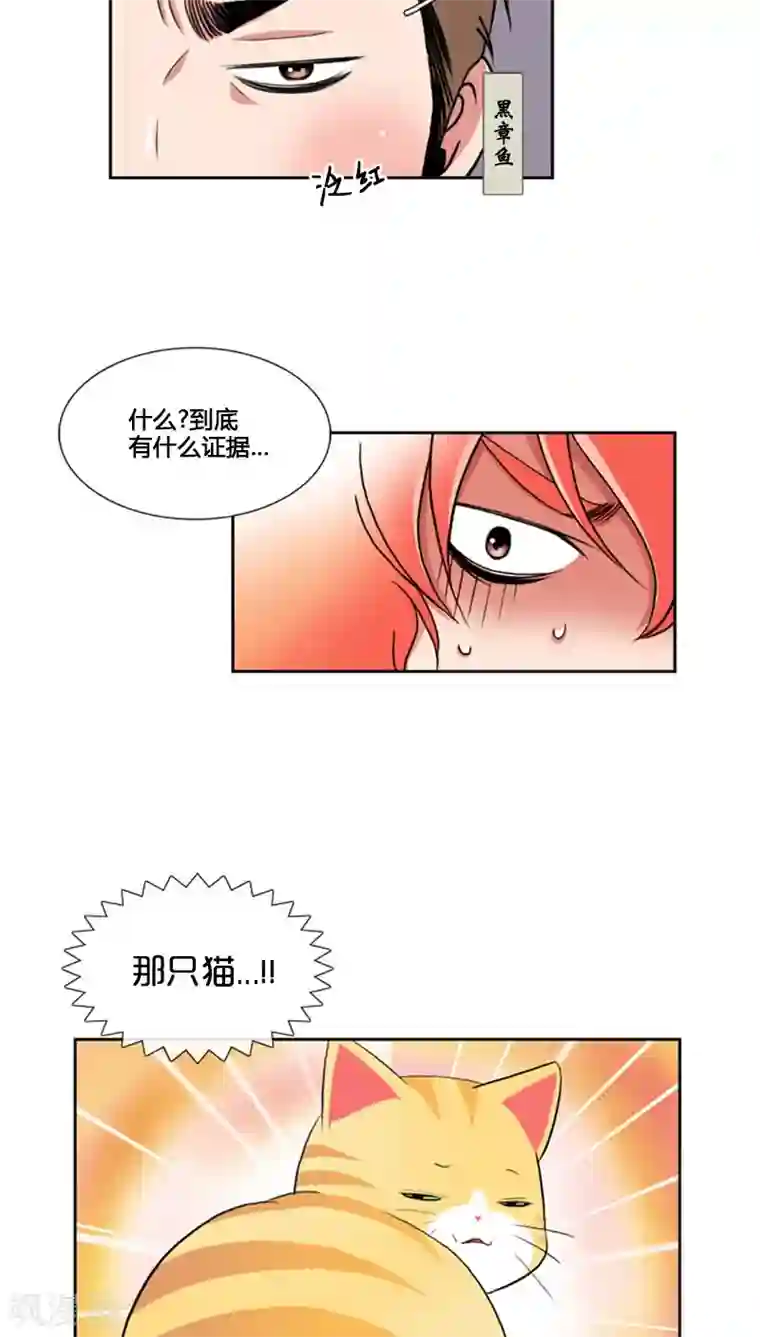 ICE-Cold要员的捡猫事件第73话