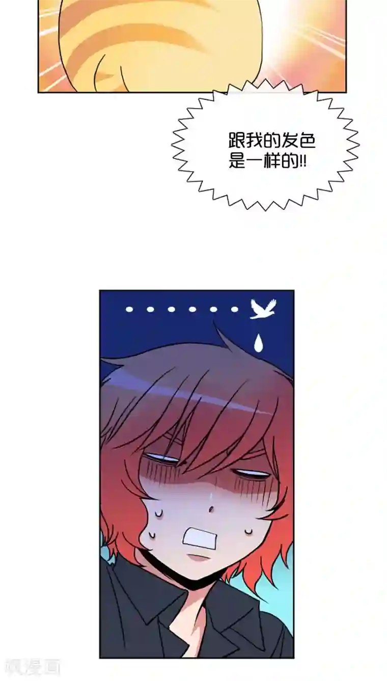 ICE-Cold要员的捡猫事件第73话