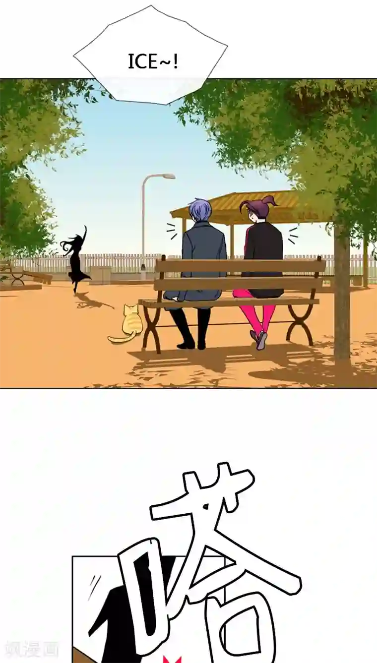 ICE-Cold要员的捡猫事件第73话
