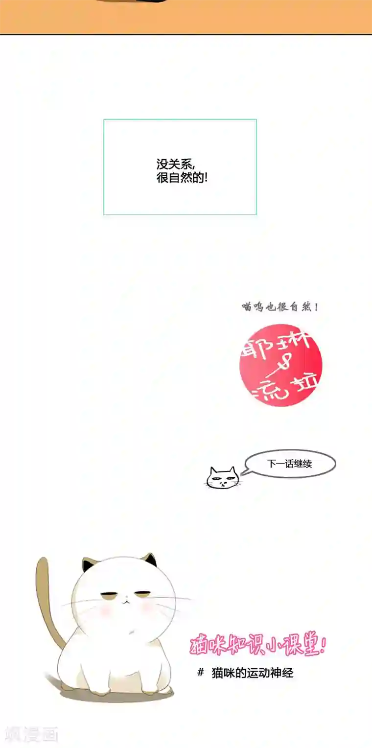 ICE-Cold要员的捡猫事件第73话