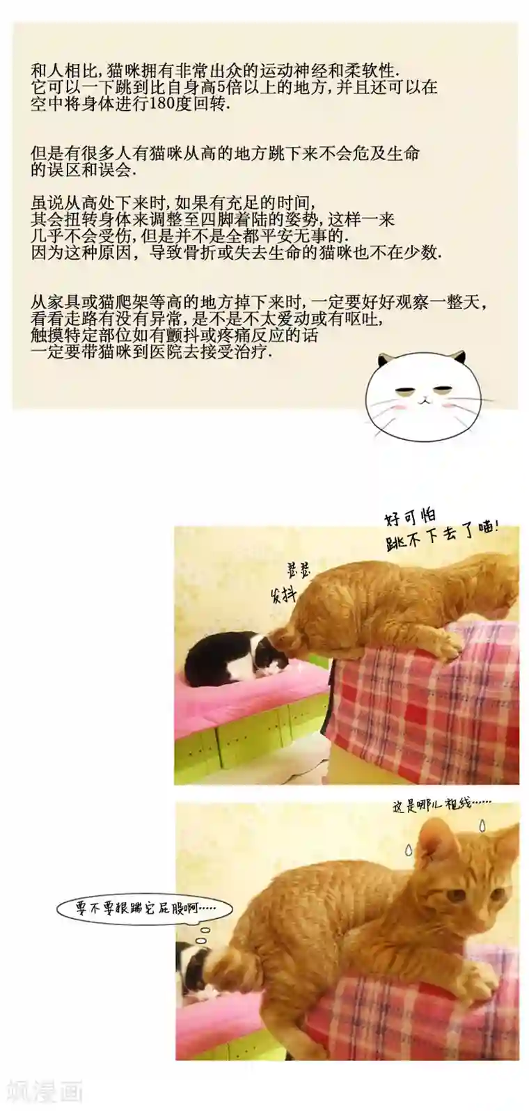 ICE-Cold要员的捡猫事件第73话