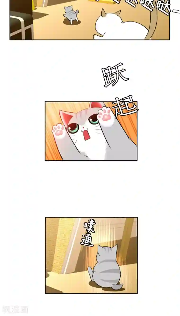 ICE-Cold要员的捡猫事件第73话