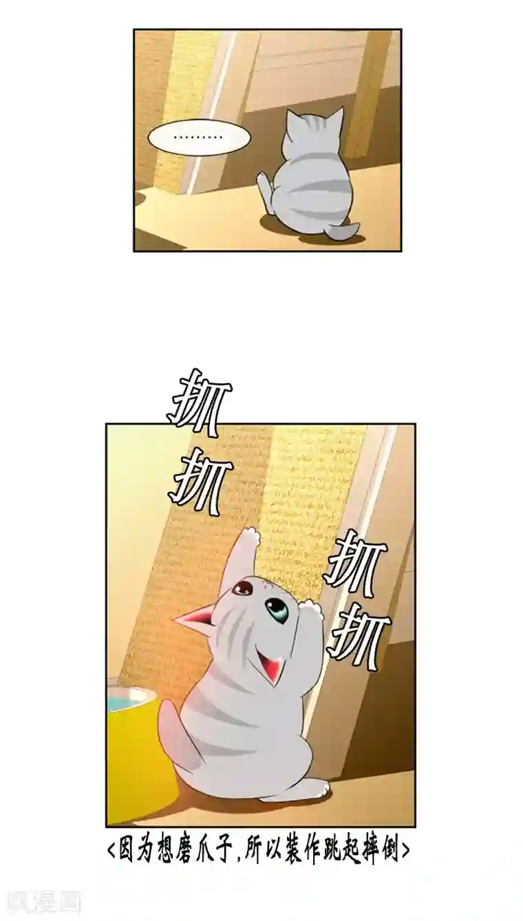 ICE-Cold要员的捡猫事件第73话