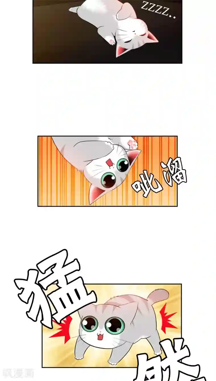 ICE-Cold要员的捡猫事件第73话