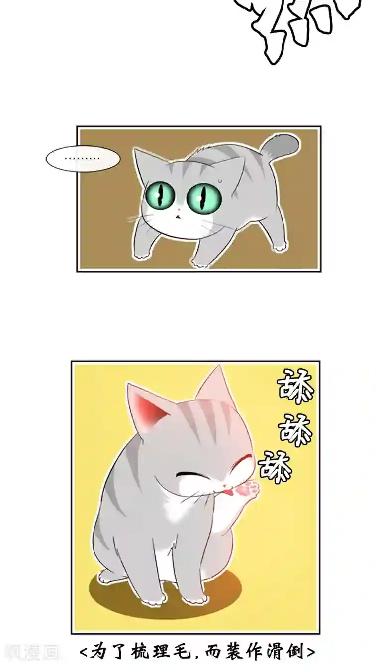 ICE-Cold要员的捡猫事件第73话