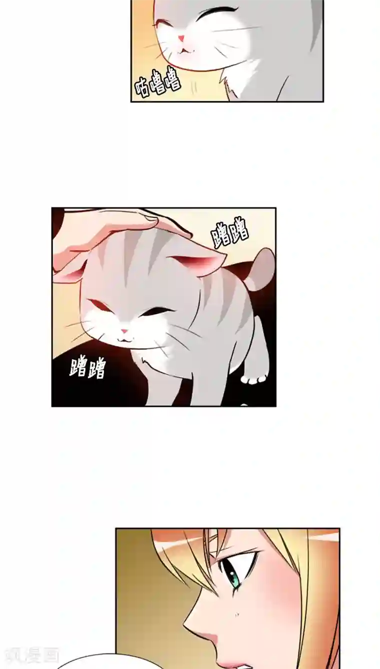 ICE-Cold要员的捡猫事件第74话