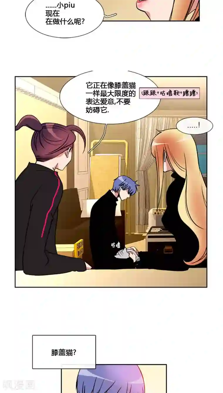 ICE-Cold要员的捡猫事件第74话