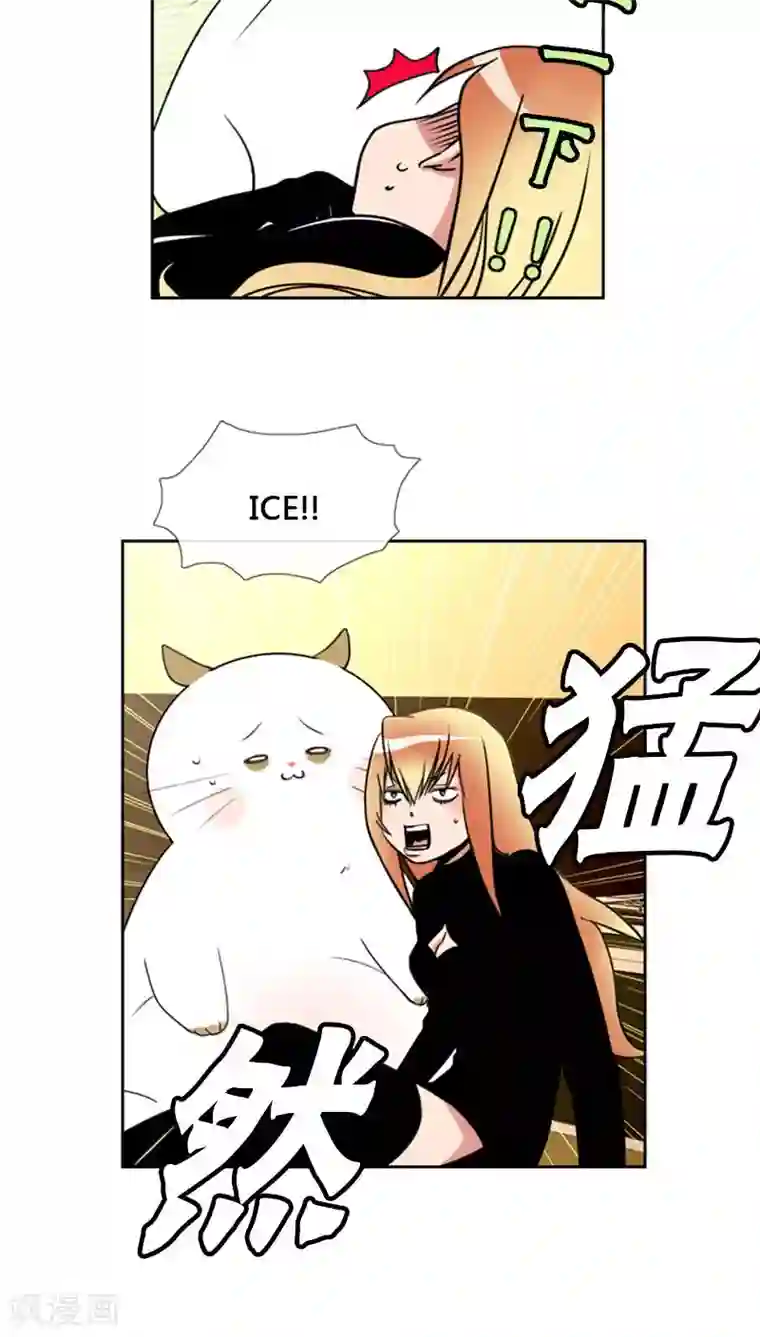 ICE-Cold要员的捡猫事件第74话