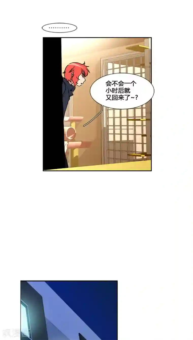 ICE-Cold要员的捡猫事件第74话