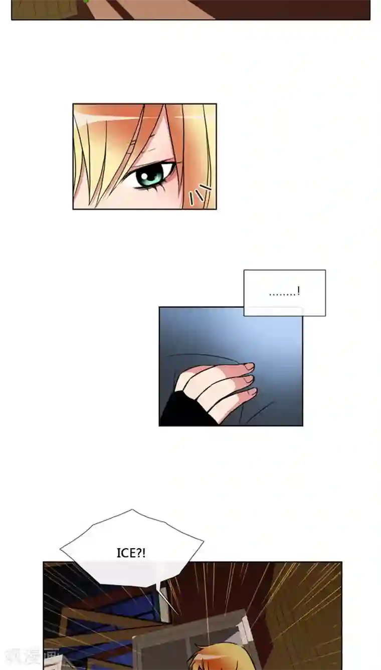 ICE-Cold要员的捡猫事件第74话