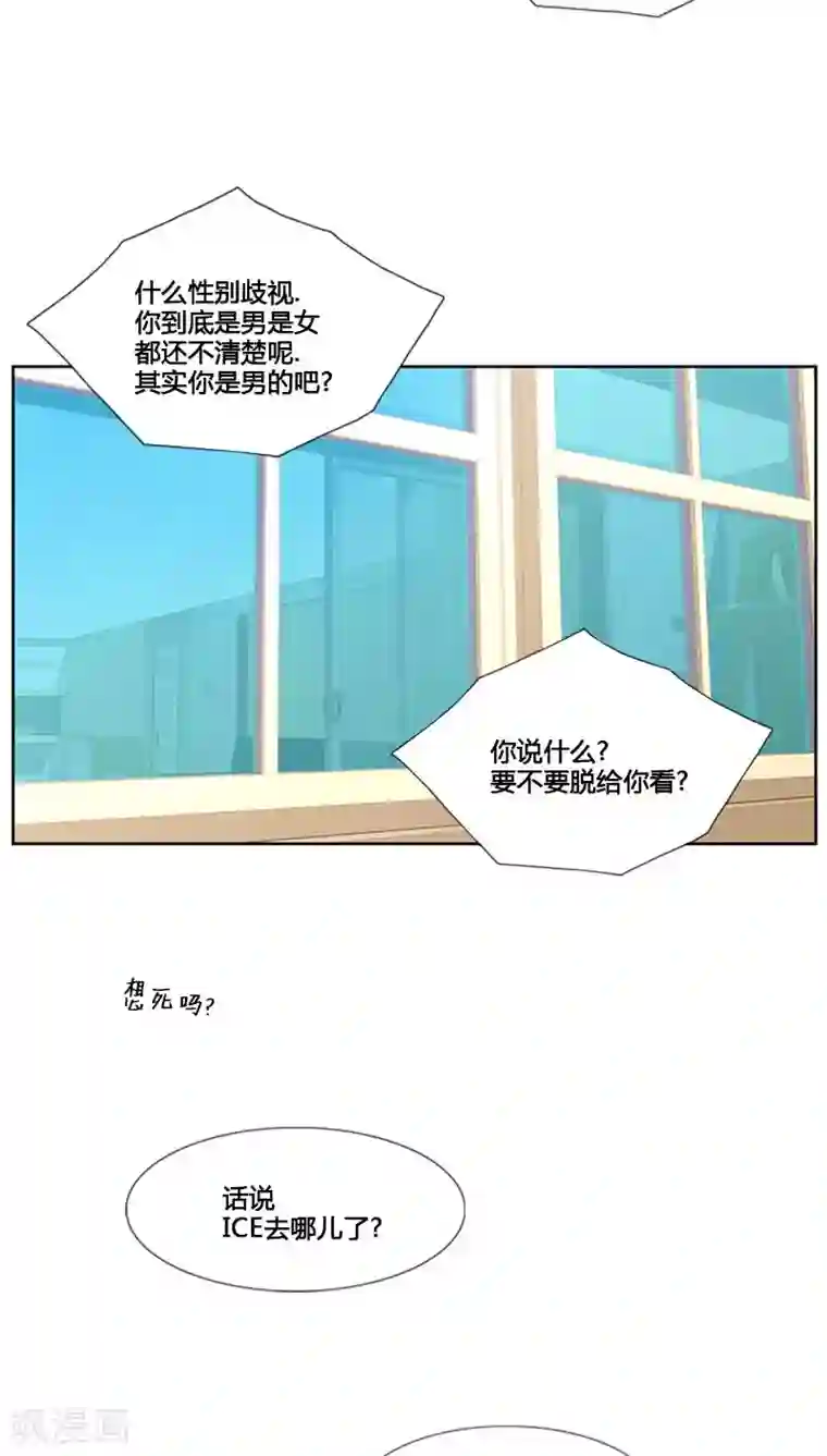 ICE-Cold要员的捡猫事件第74话