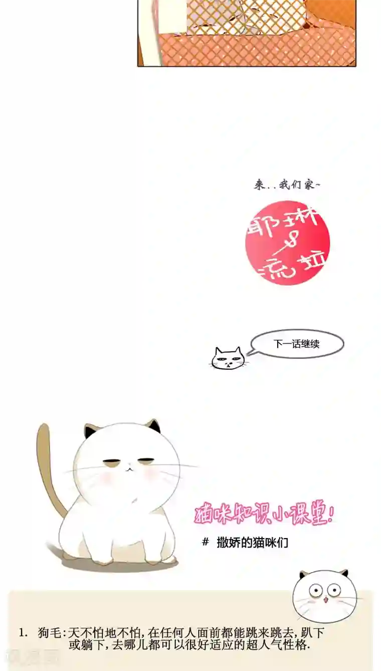 ICE-Cold要员的捡猫事件第74话