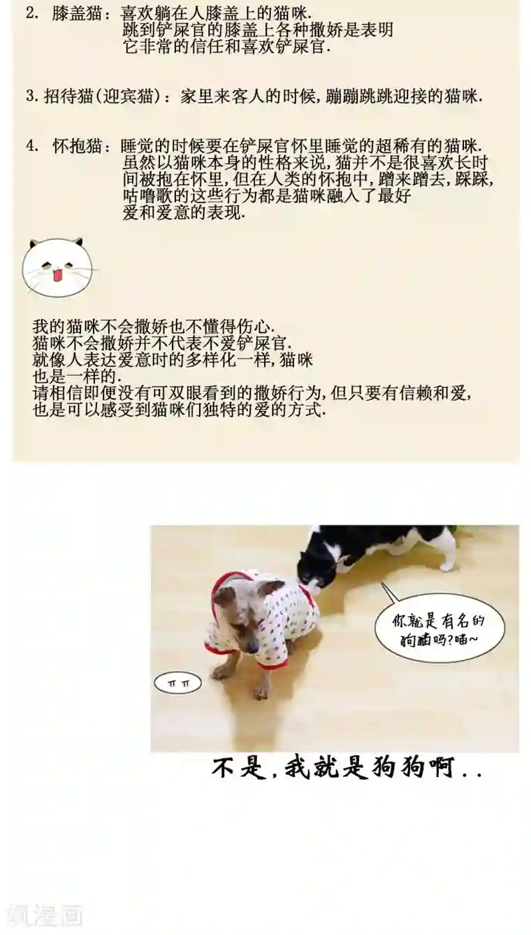 ICE-Cold要员的捡猫事件第74话