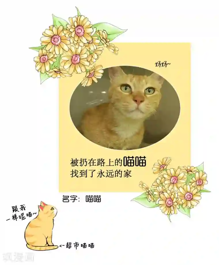 ICE-Cold要员的捡猫事件第74话