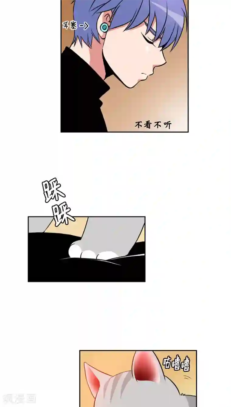 ICE-Cold要员的捡猫事件第74话