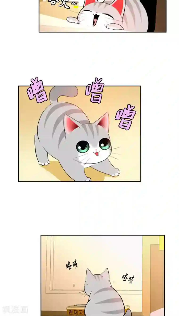 ICE-Cold要员的捡猫事件第75话