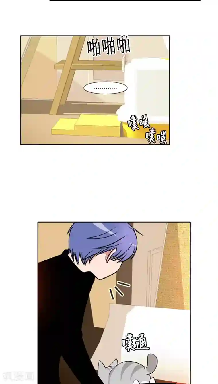 ICE-Cold要员的捡猫事件第75话