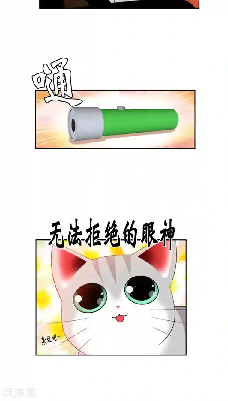 ICE-Cold要员的捡猫事件第75话