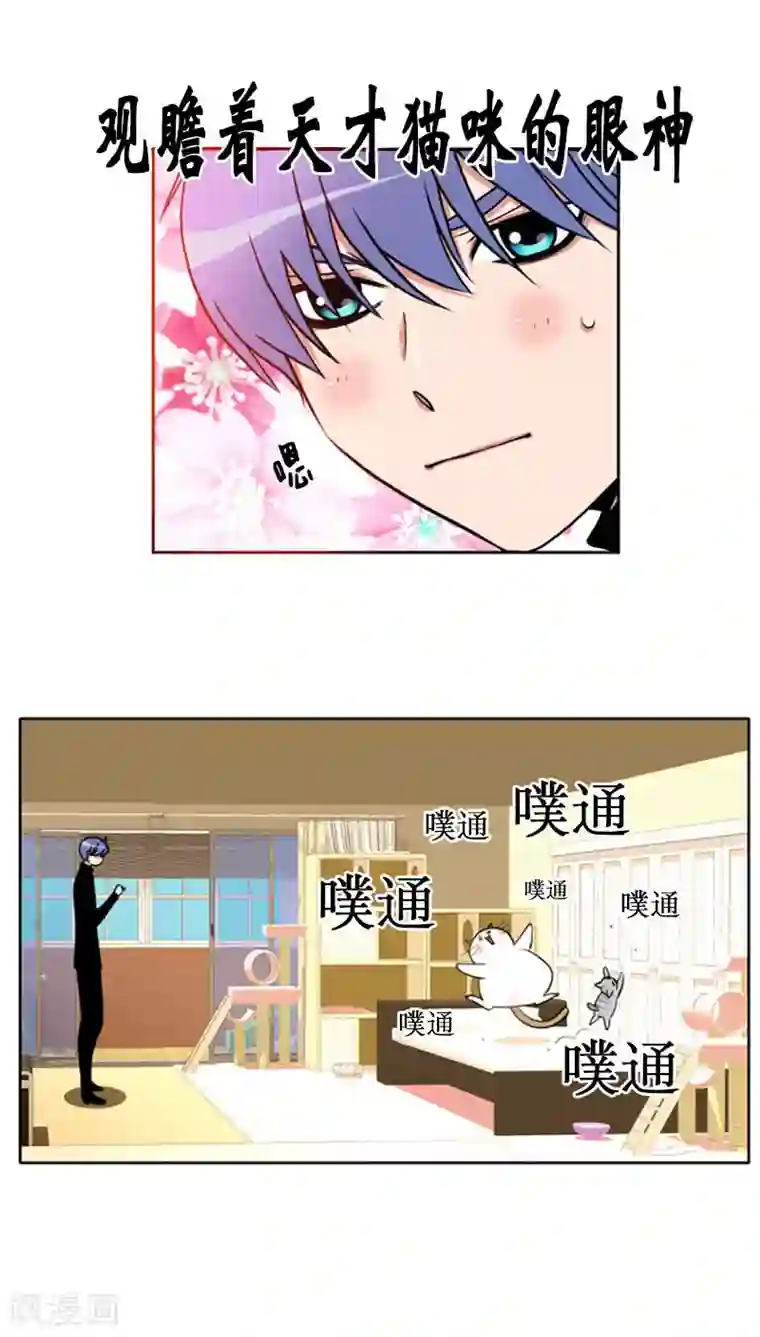 ICE-Cold要员的捡猫事件第75话