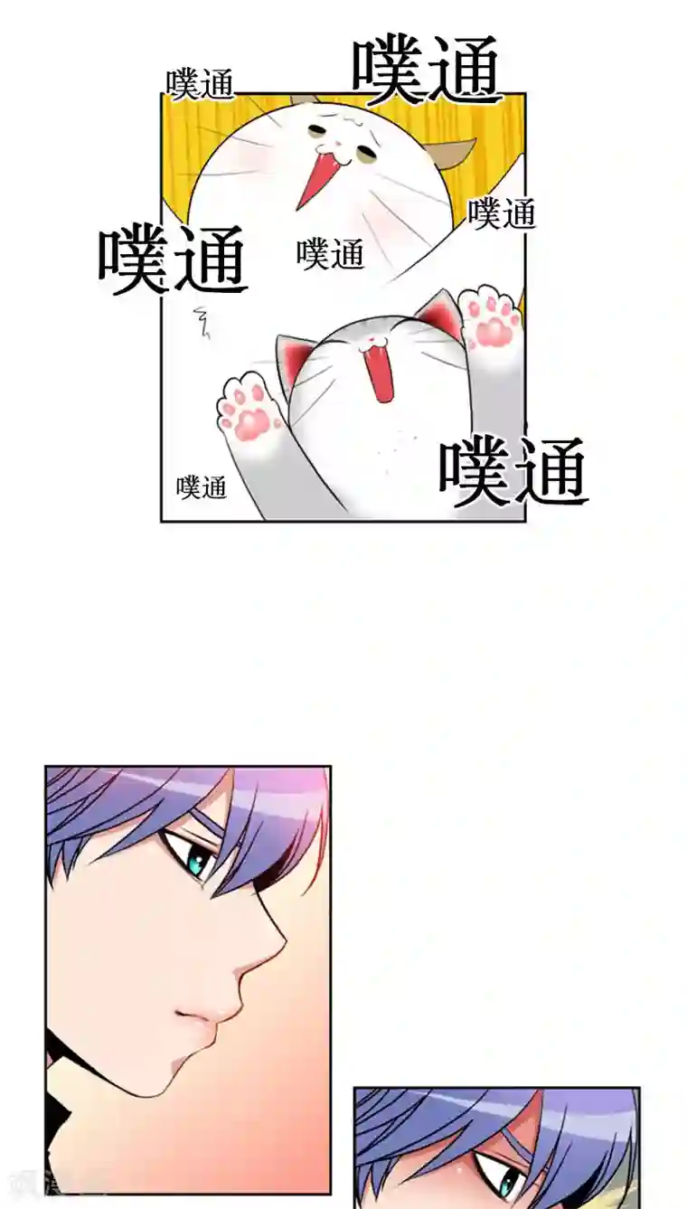 ICE-Cold要员的捡猫事件第75话