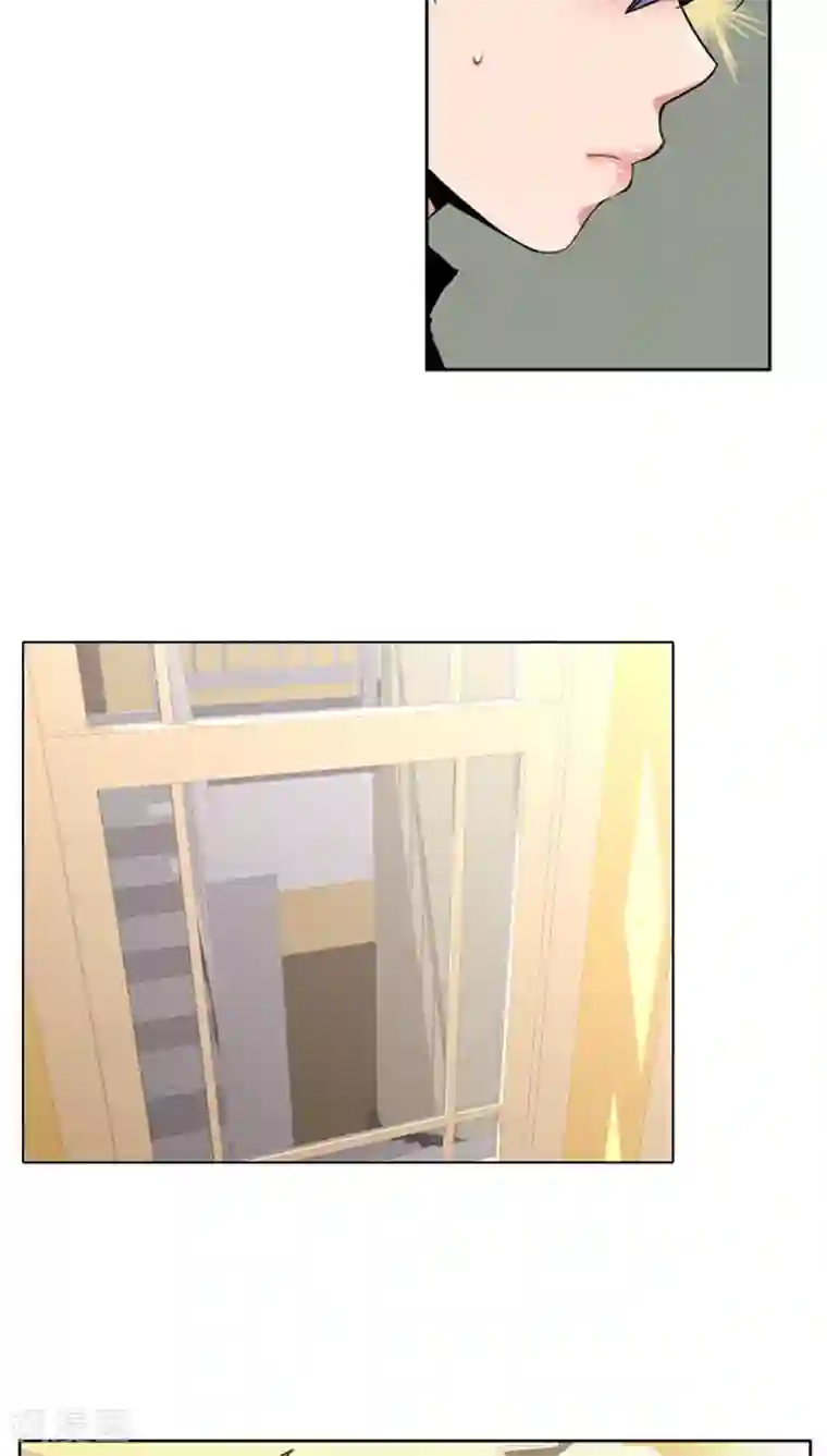 ICE-Cold要员的捡猫事件第75话