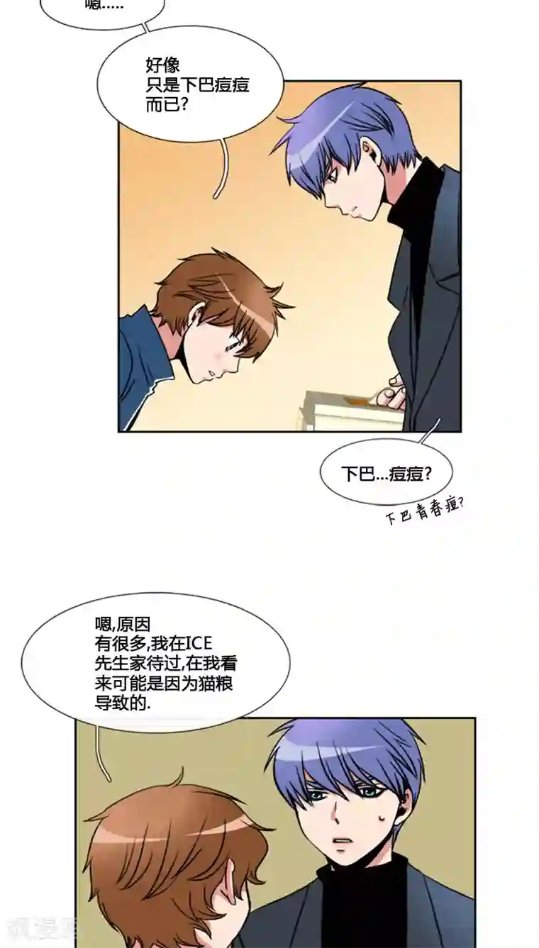 ICE-Cold要员的捡猫事件第75话