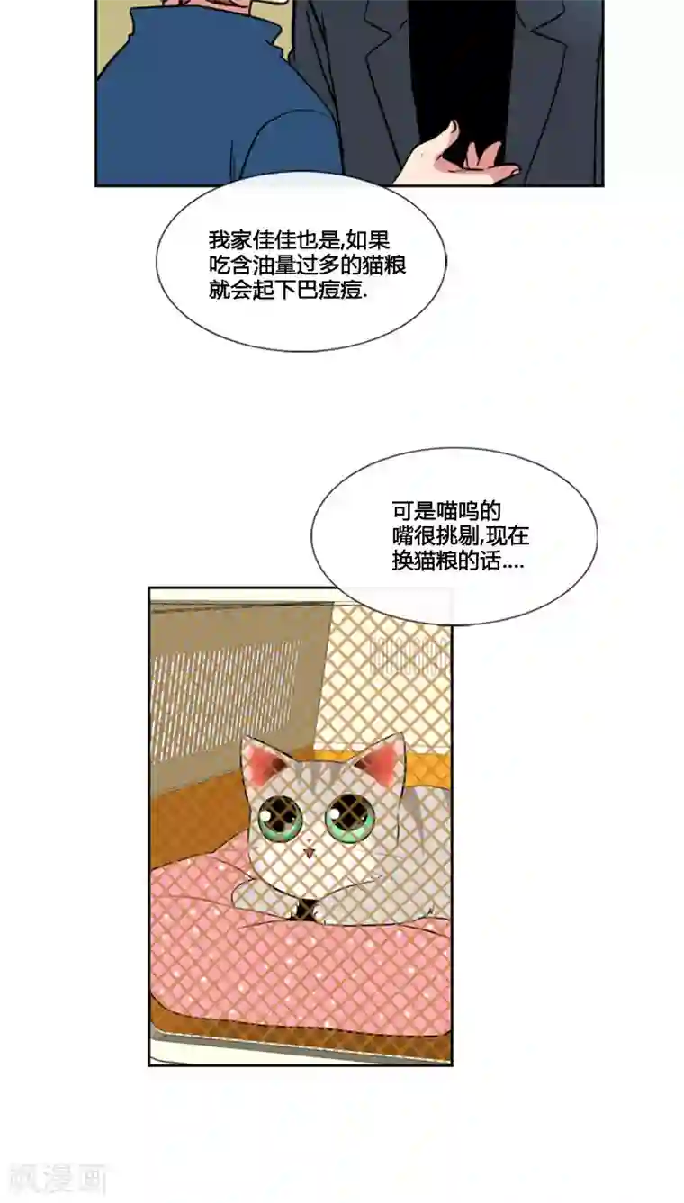 ICE-Cold要员的捡猫事件第75话