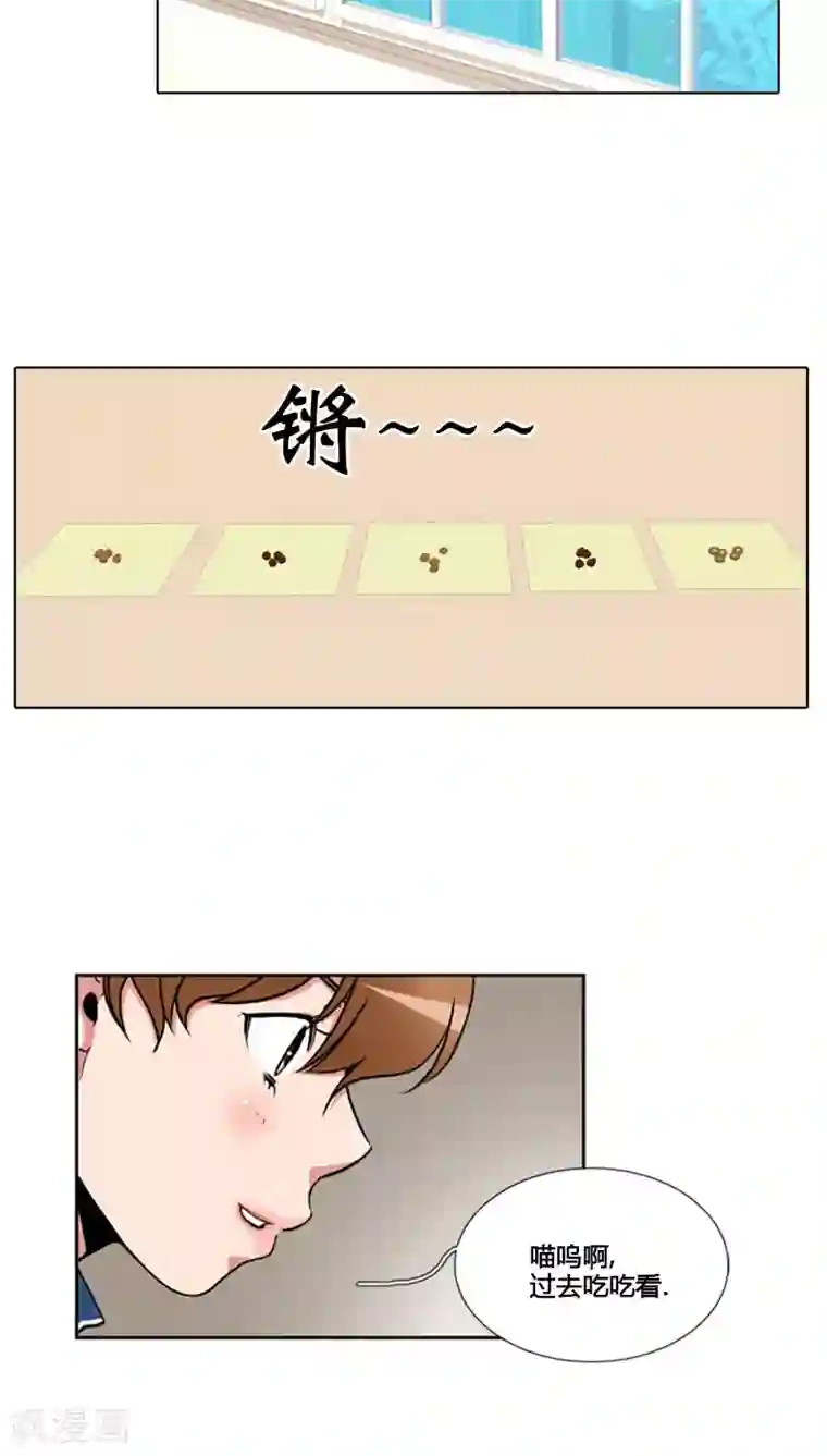 ICE-Cold要员的捡猫事件第75话