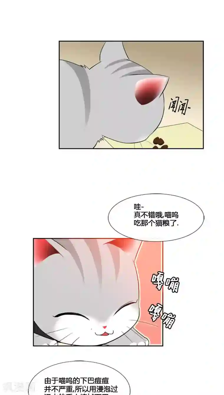 ICE-Cold要员的捡猫事件第75话