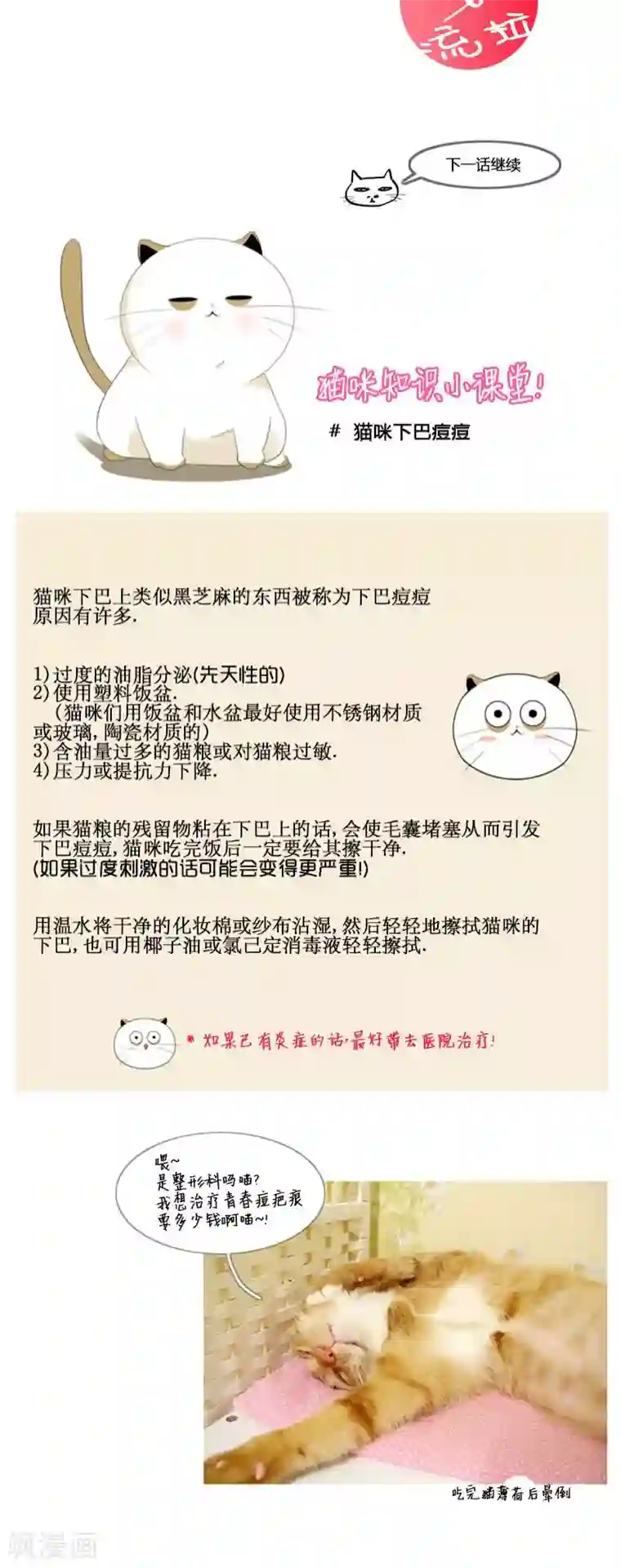 ICE-Cold要员的捡猫事件第75话