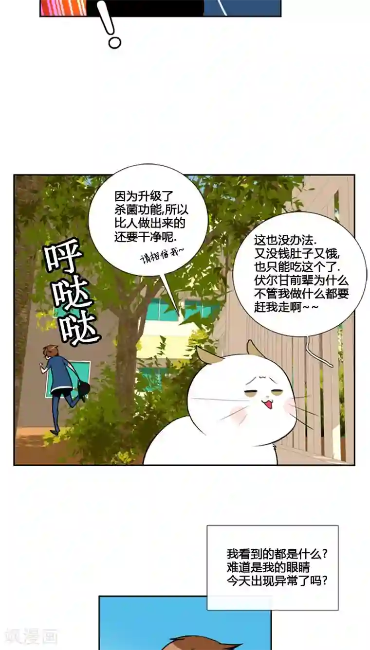 ICE-Cold要员的捡猫事件第76话