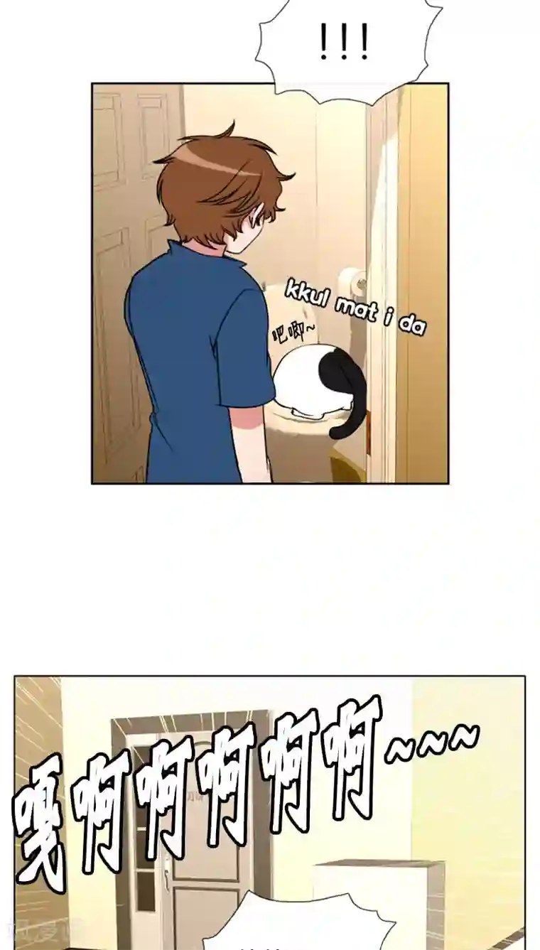 ICE-Cold要员的捡猫事件第76话