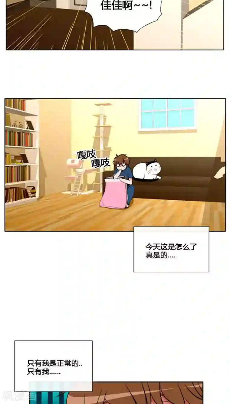 ICE-Cold要员的捡猫事件第76话