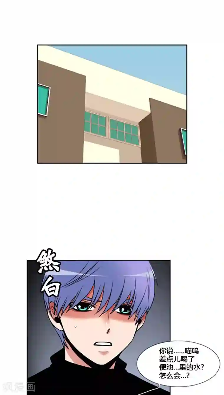 ICE-Cold要员的捡猫事件第76话