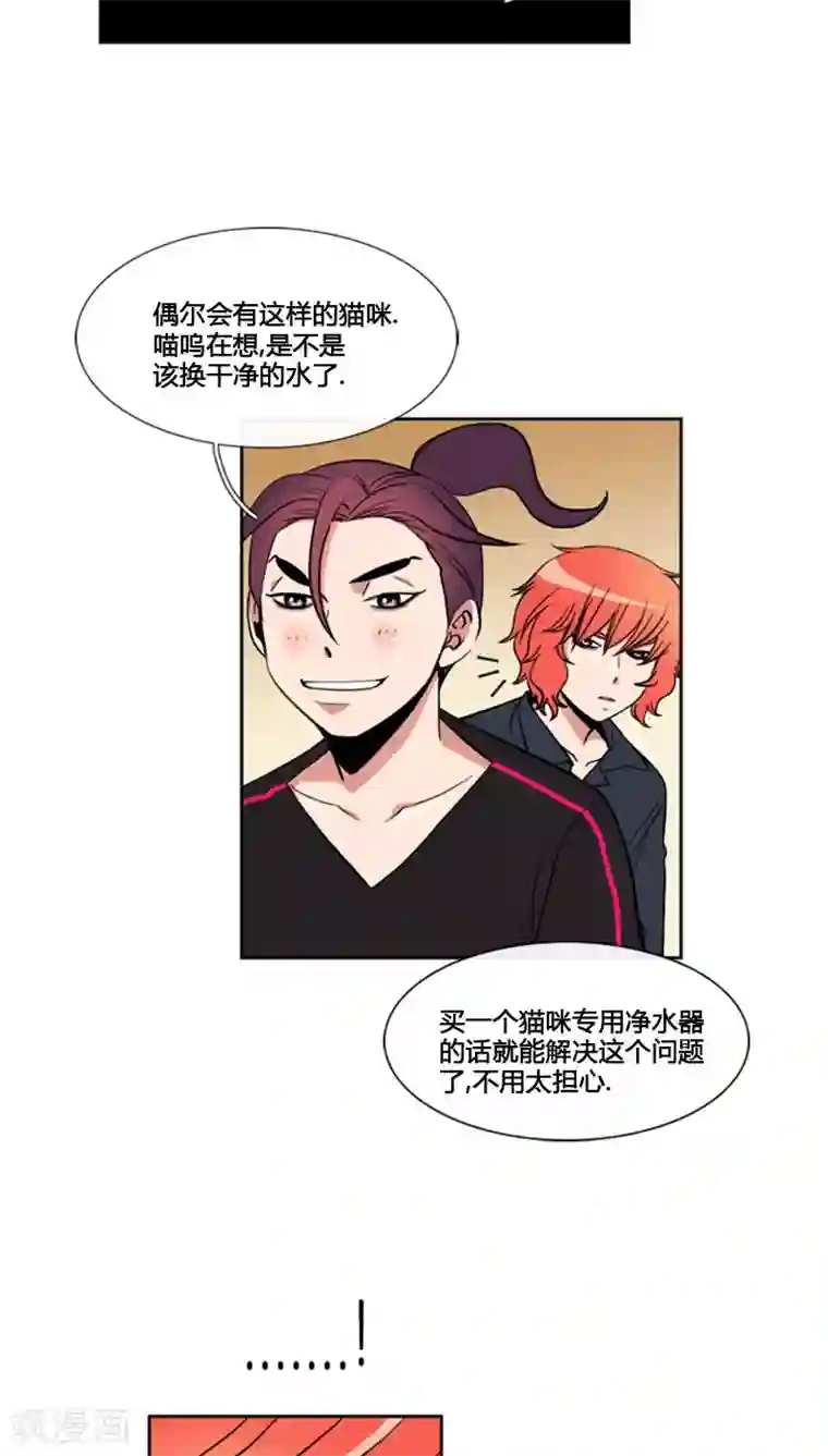 ICE-Cold要员的捡猫事件第76话