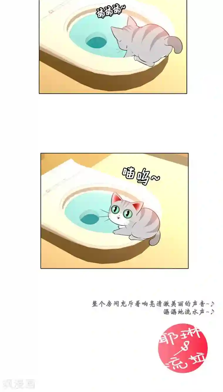 ICE-Cold要员的捡猫事件第76话