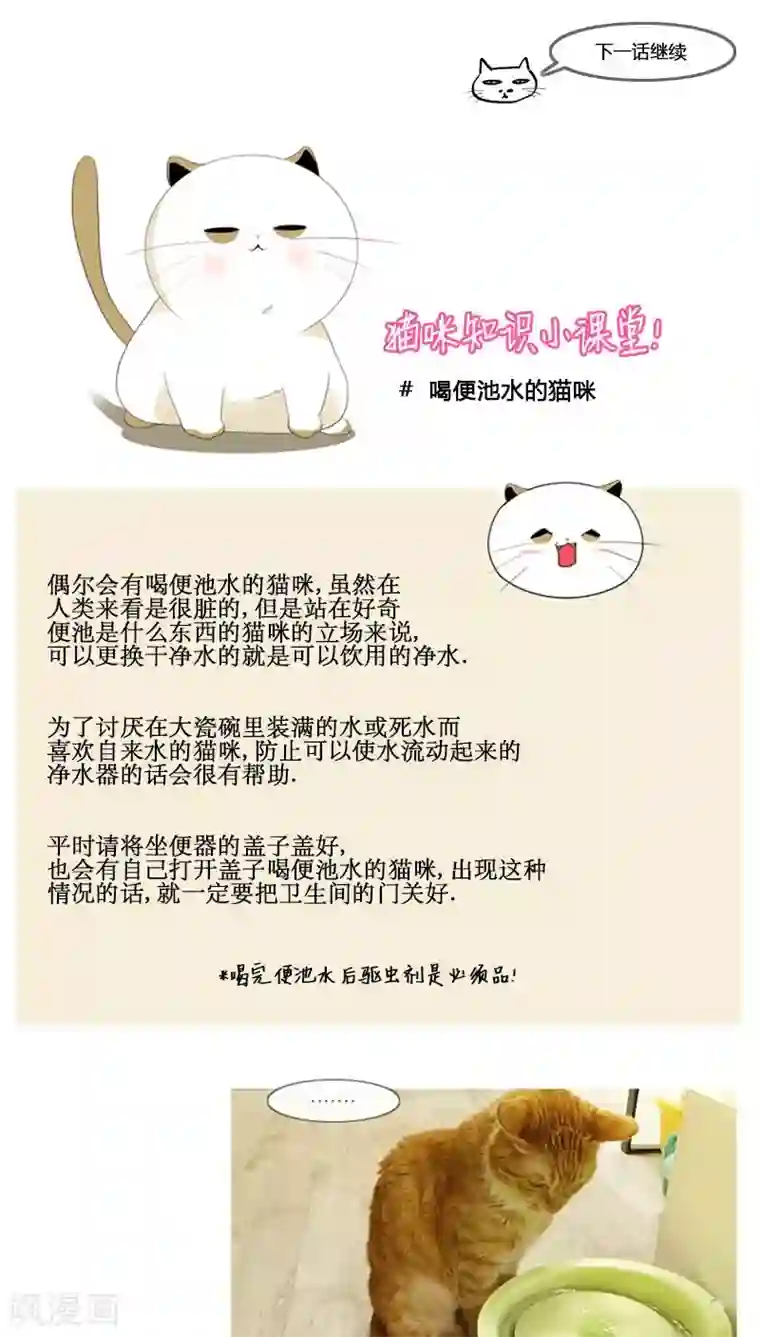 ICE-Cold要员的捡猫事件第76话