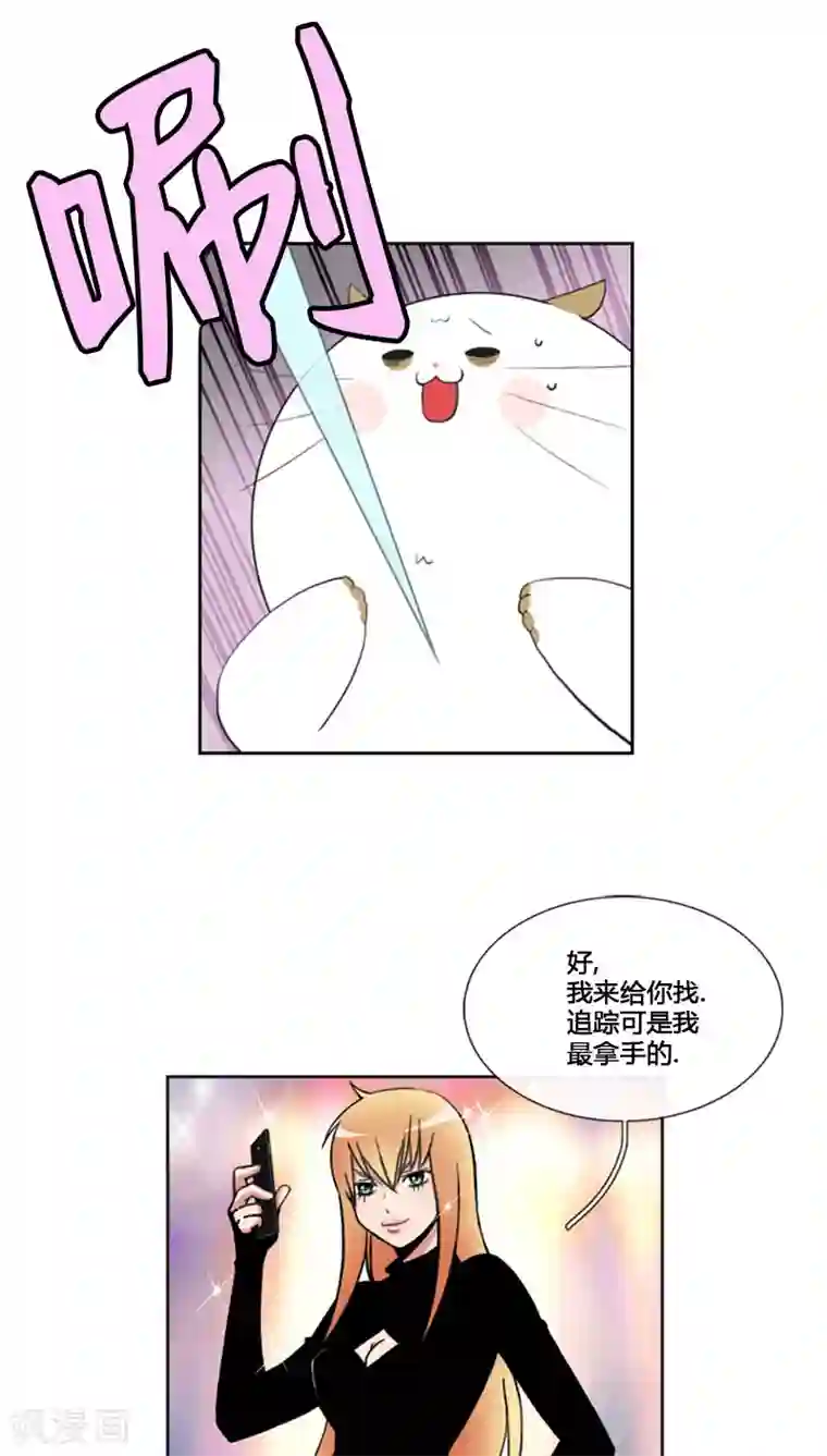 ICE-Cold要员的捡猫事件第77话