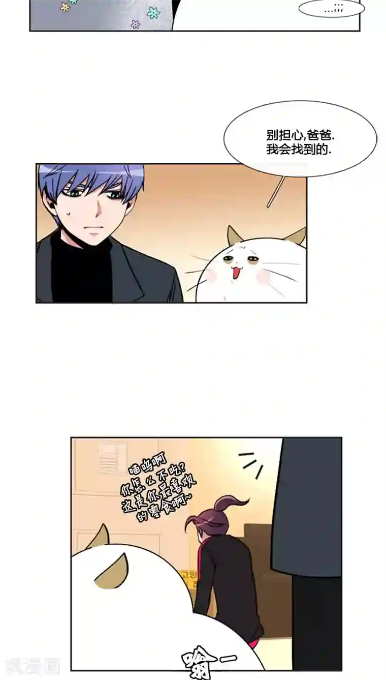 ICE-Cold要员的捡猫事件第77话