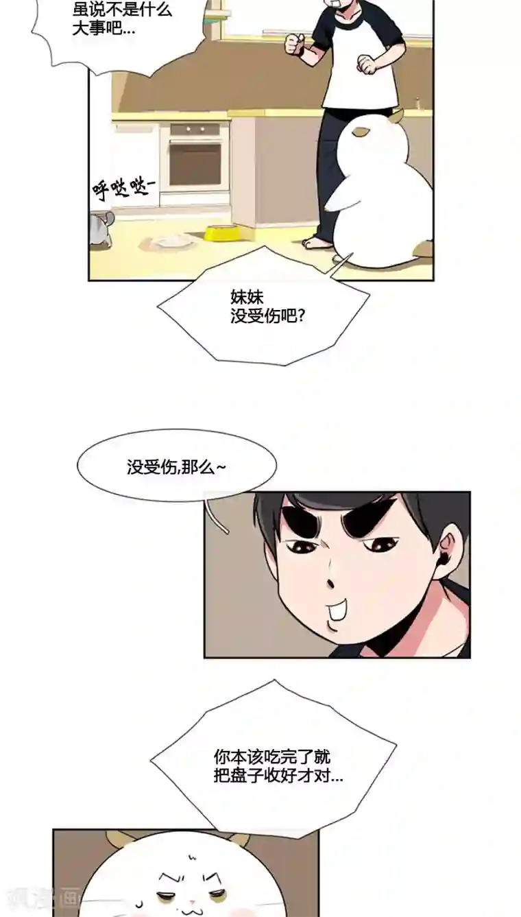 ICE-Cold要员的捡猫事件第77话