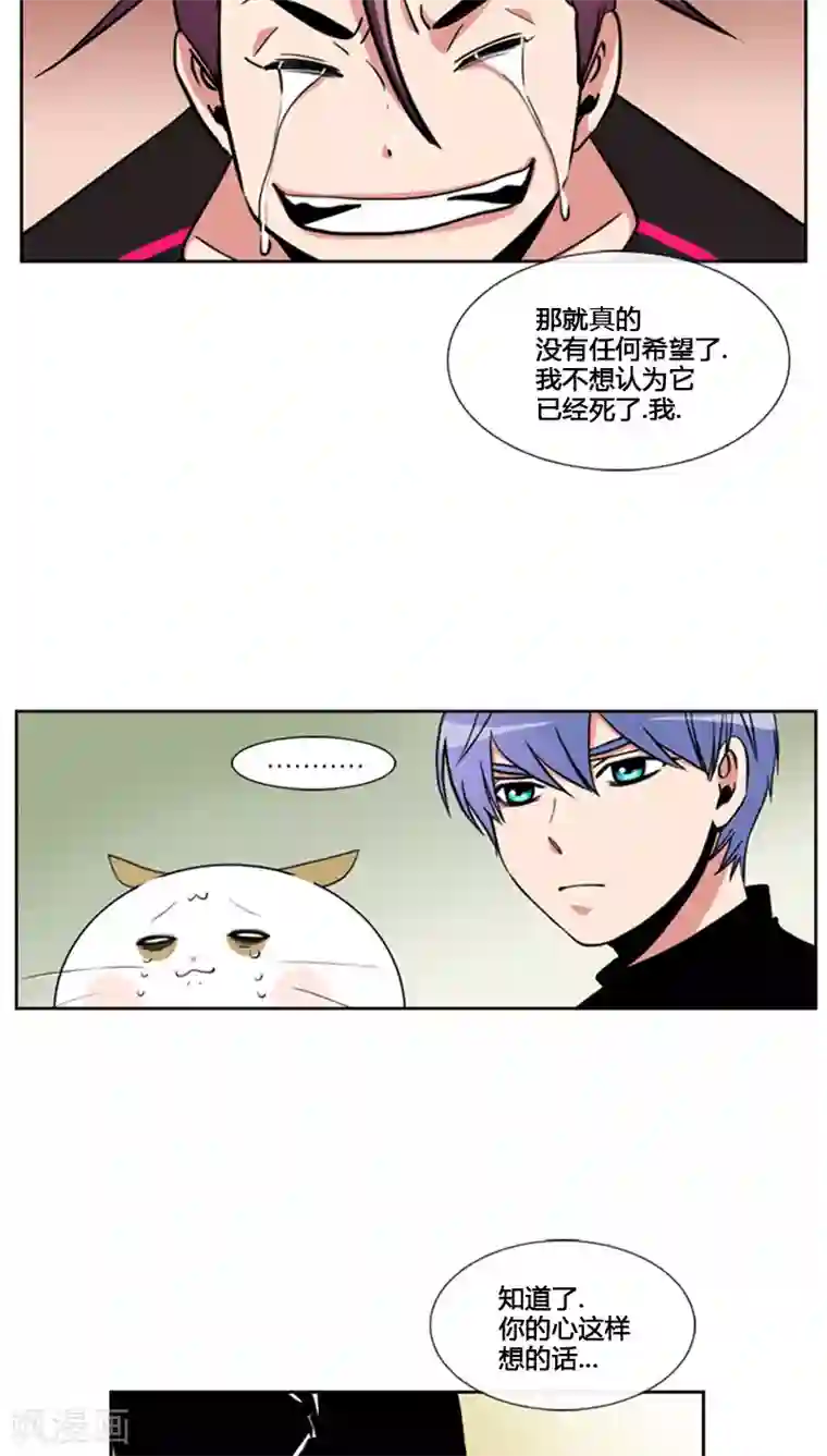 ICE-Cold要员的捡猫事件第77话