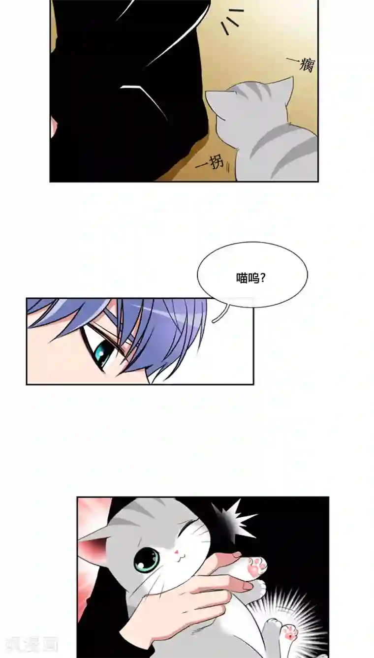 ICE-Cold要员的捡猫事件第77话