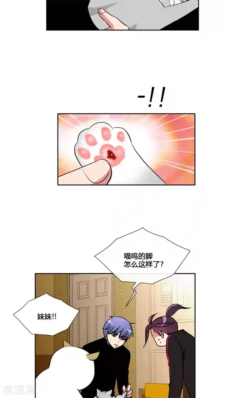 ICE-Cold要员的捡猫事件第77话