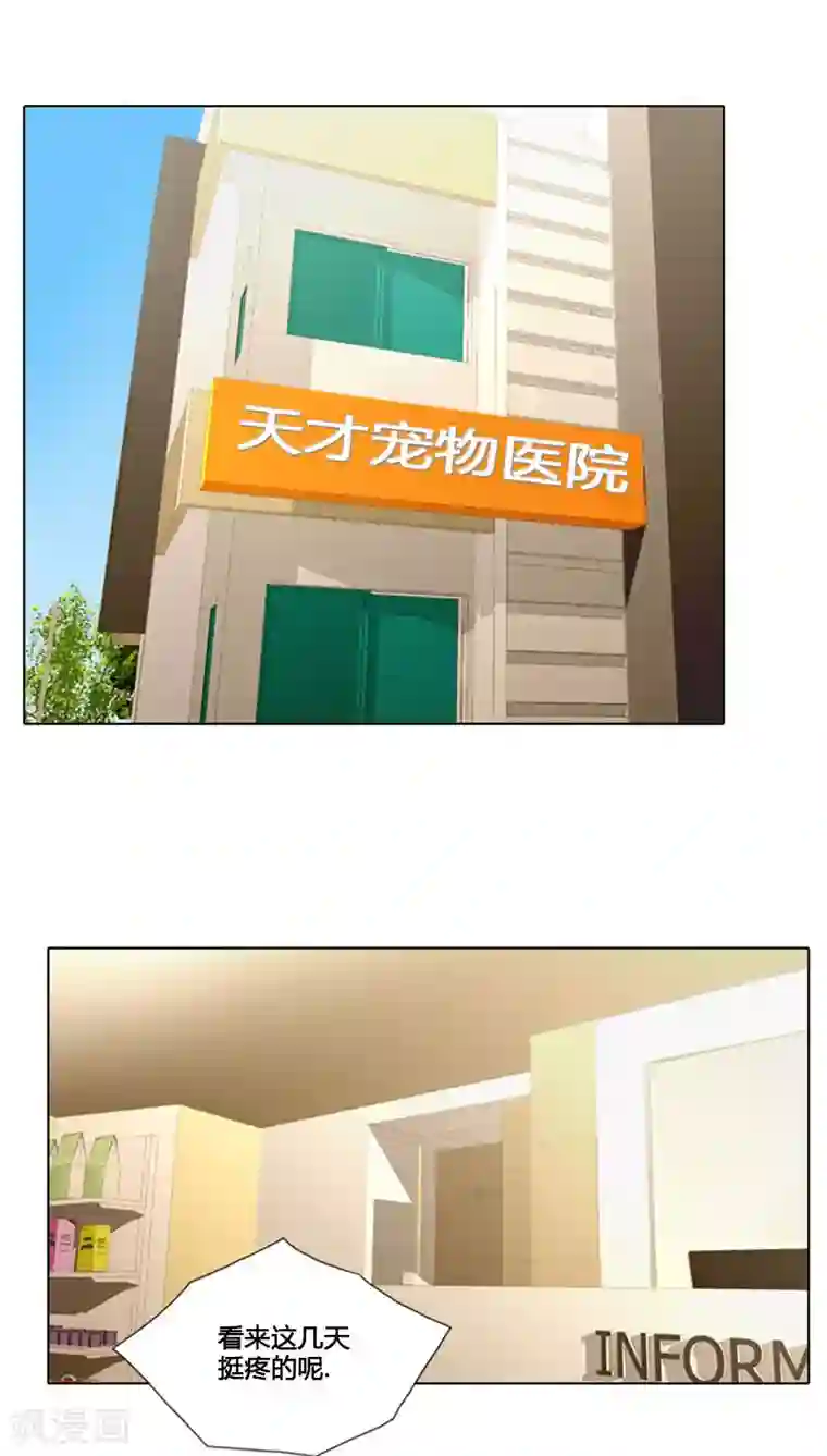 ICE-Cold要员的捡猫事件第77话