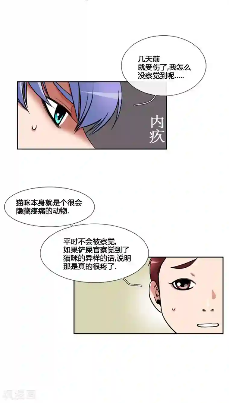 ICE-Cold要员的捡猫事件第77话